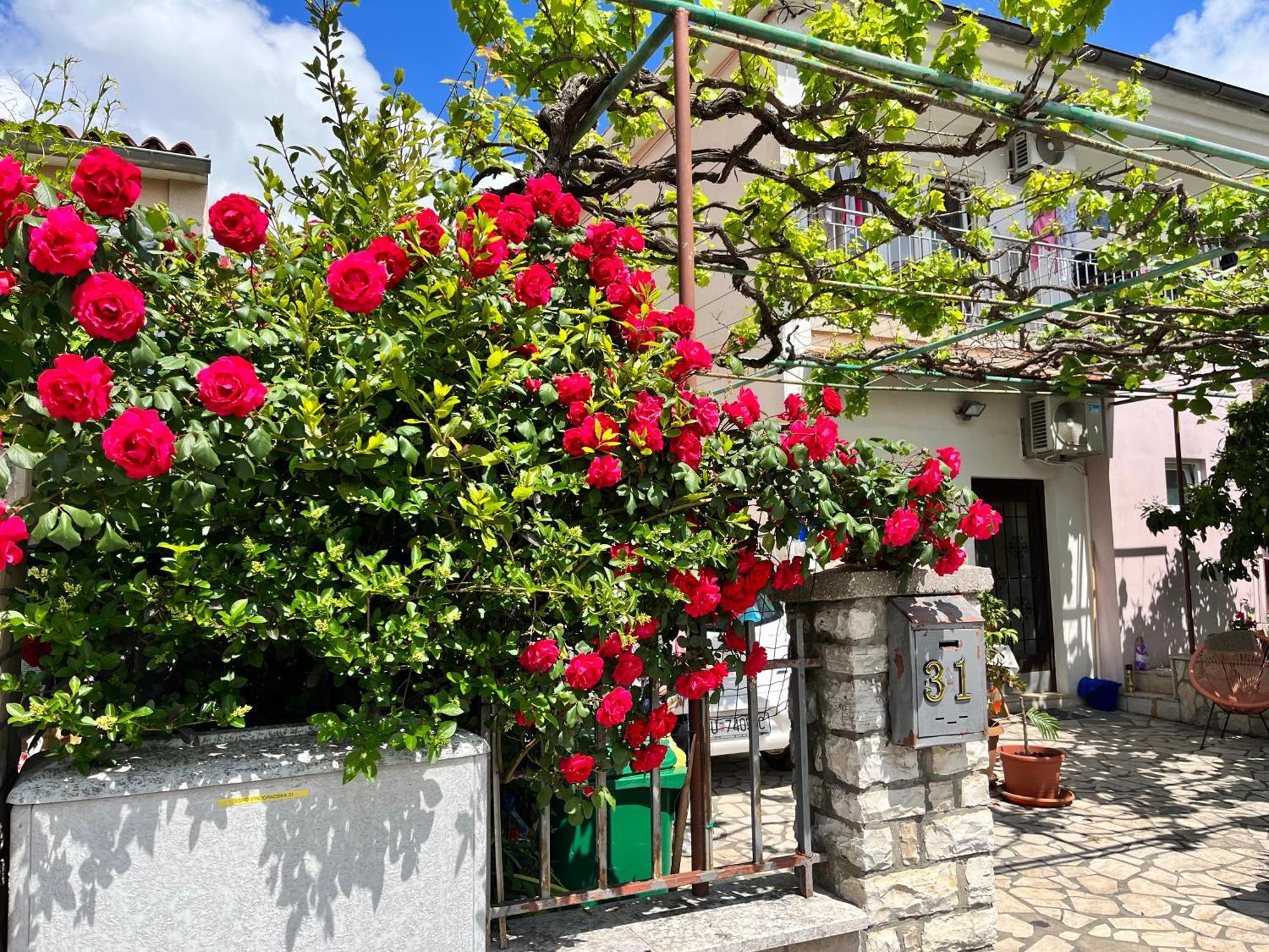 Veronika'S House Pula Dış mekan fotoğraf